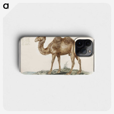 2-54_Anselmus-Boetius-de-Boodt_phone
