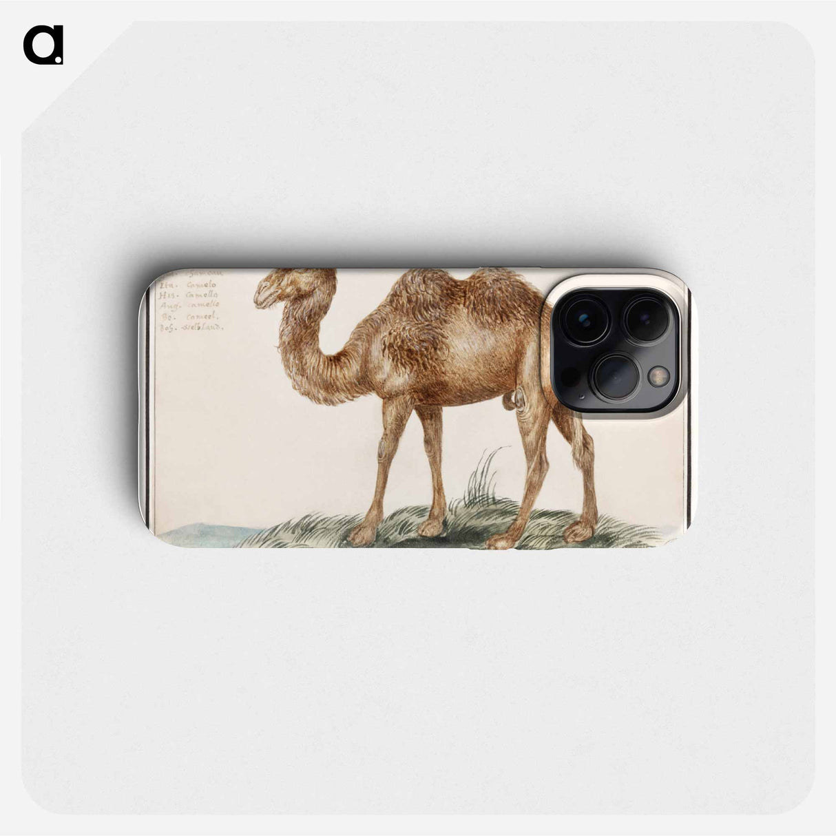 Camel - アンセルムス ボエティウス デ ブート Phone Case.