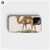 Camel - アンセルムス ボエティウス デ ブート Phone Case.