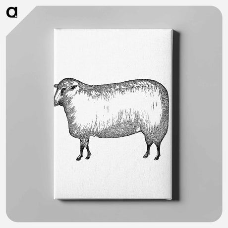 アートパネル-Sheep
 - 大英図書館 Canvas.