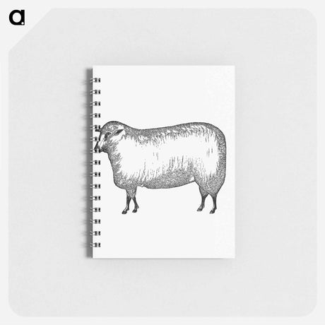 アートメモ帳-Sheep
 - 大英図書館 Memo.