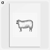 アートポスター-Sheep
 - 大英図書館 Poster.