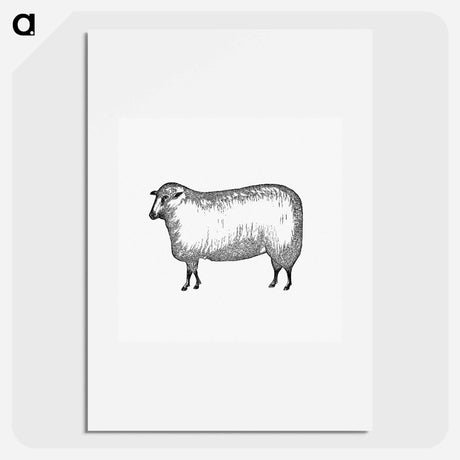 アートポスター-Sheep
 - 大英図書館 Poster.