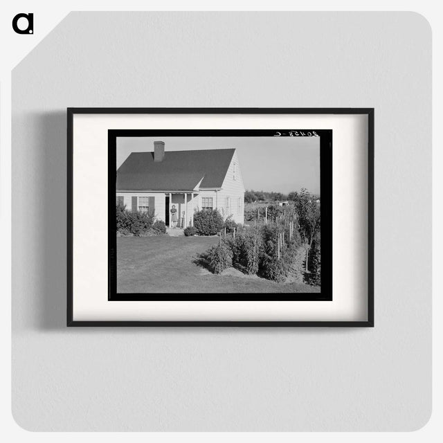 2-54_Dorothea-Lange_blk