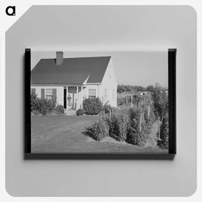 2-54_Dorothea-Lange_canvas