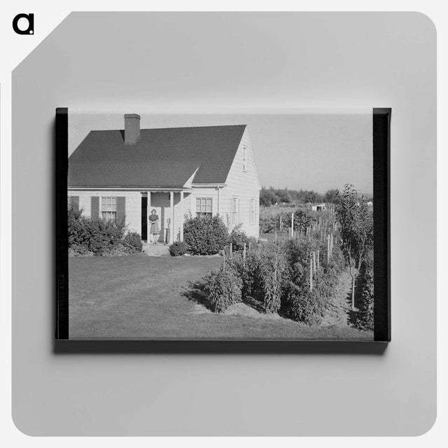 2-54_Dorothea-Lange_canvas
