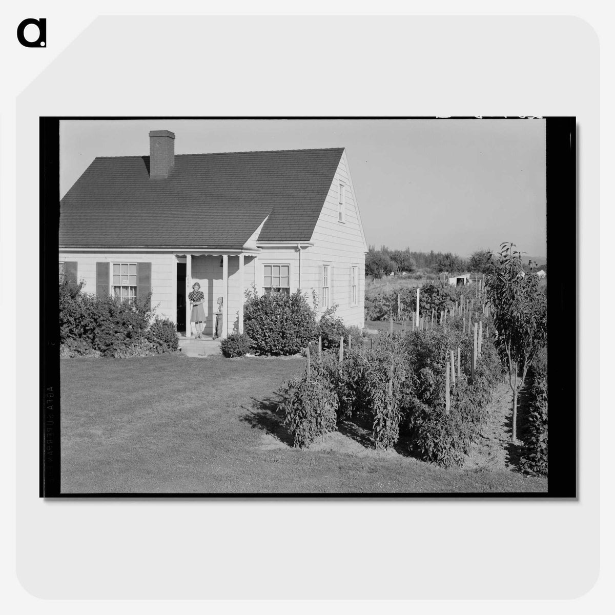 2-54_Dorothea-Lange_picture-crop