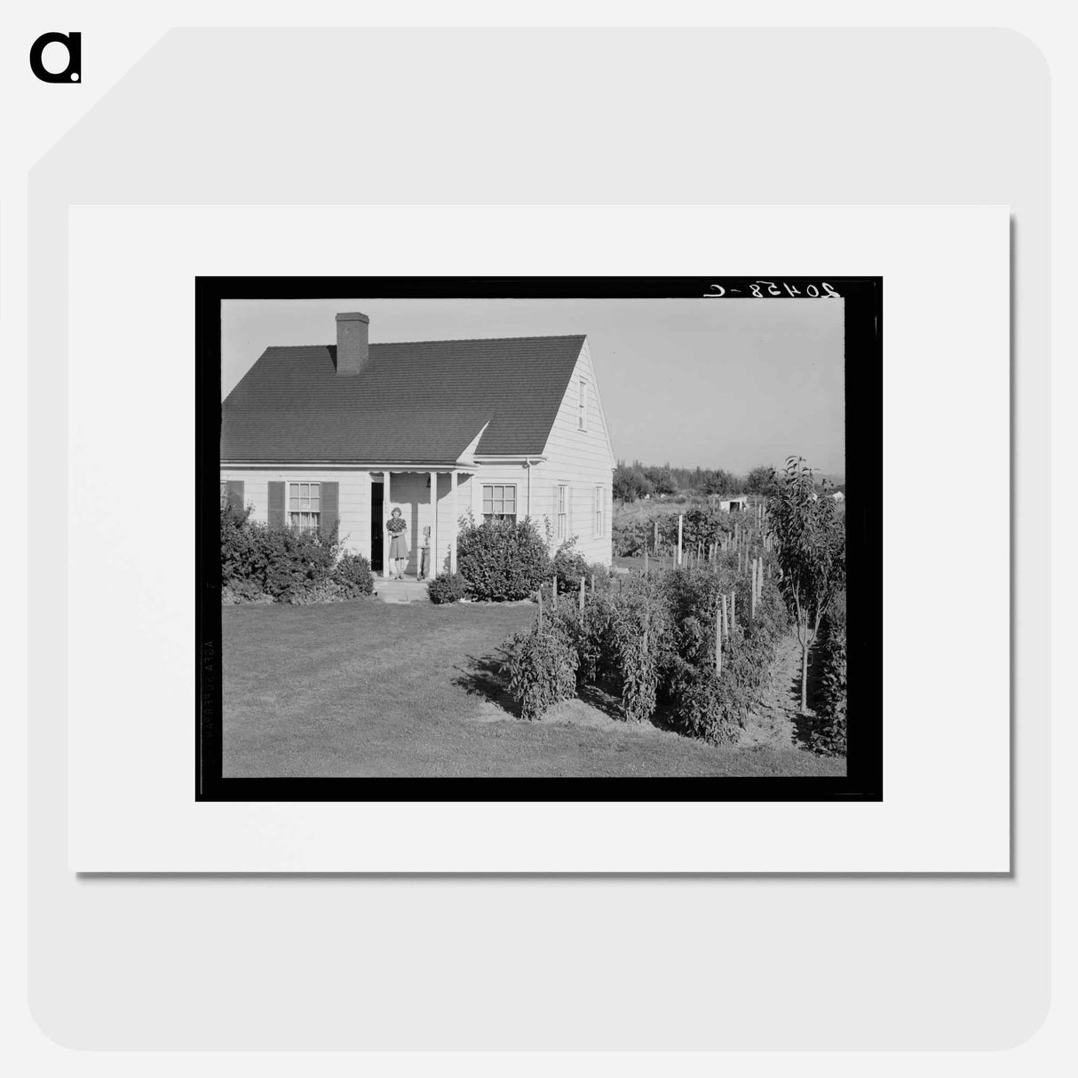 Untitled photo - Dorothea Lange Poster.
