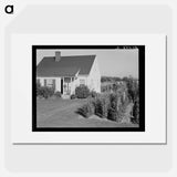 Untitled photo - Dorothea Lange Poster.