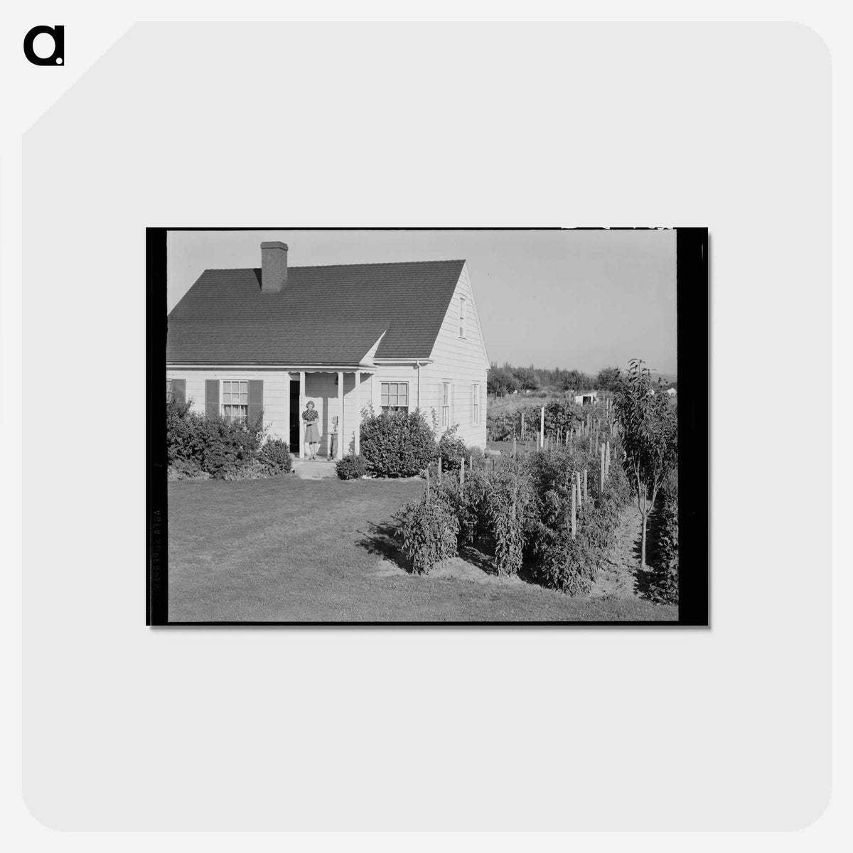 2-54_Dorothea-Lange_postcard