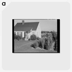 2-54_Dorothea-Lange_postcard