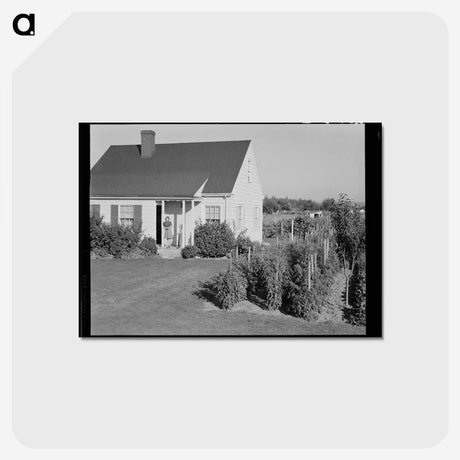2-54_Dorothea-Lange_postcard