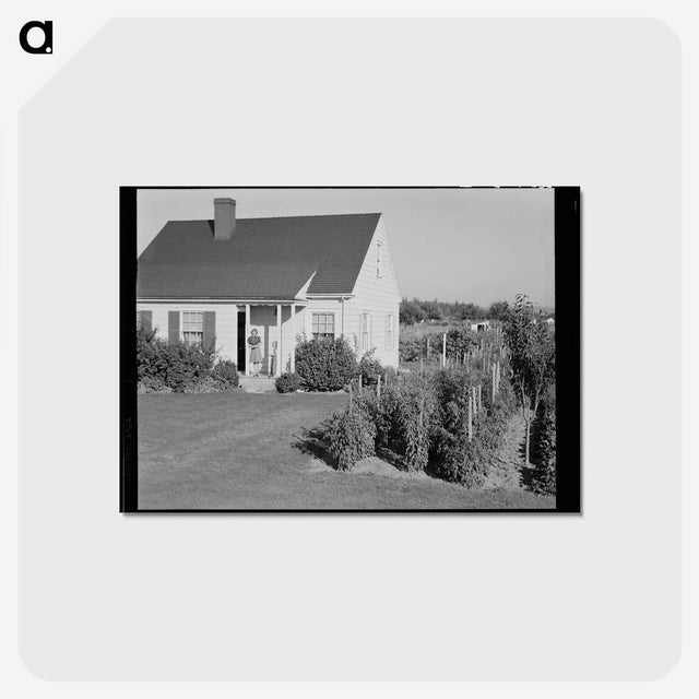 2-54_Dorothea-Lange_postcard