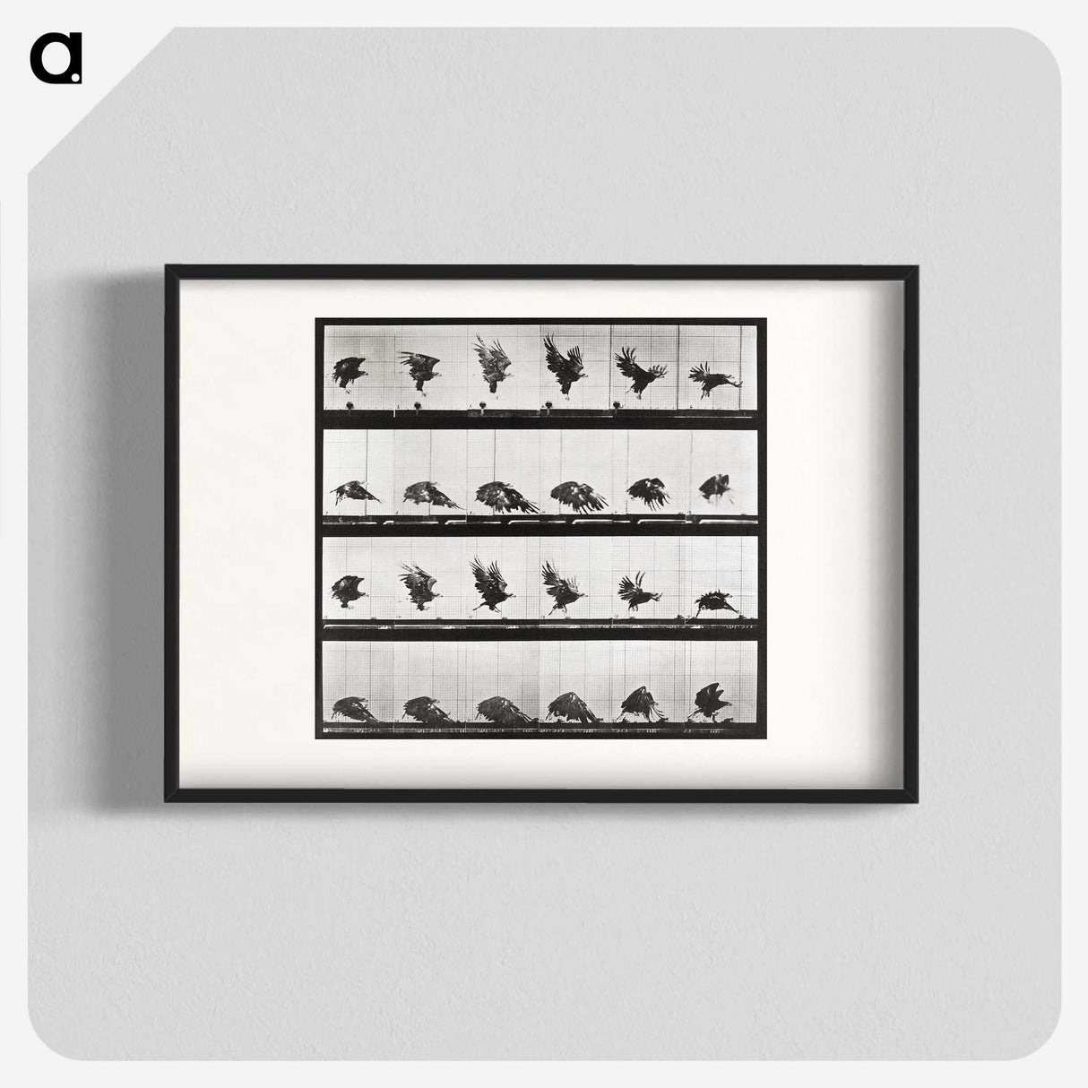 2-54_Eadweard-Muybridge_blk
