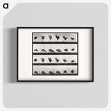 2-54_Eadweard-Muybridge_blk