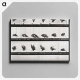 2-54_Eadweard-Muybridge_canvas