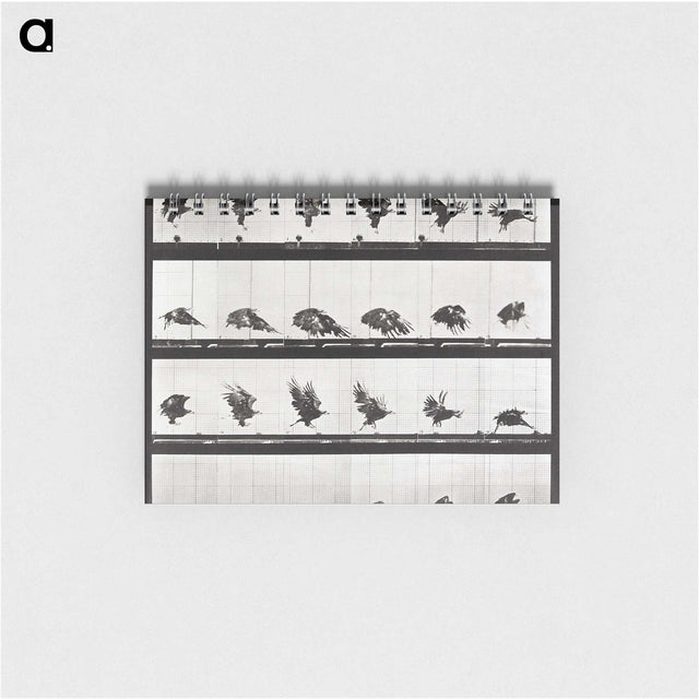 2-54_Eadweard-Muybridge_memo