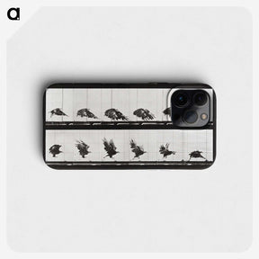 2-54_Eadweard-Muybridge_phone