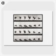 2-54_Eadweard-Muybridge_picture