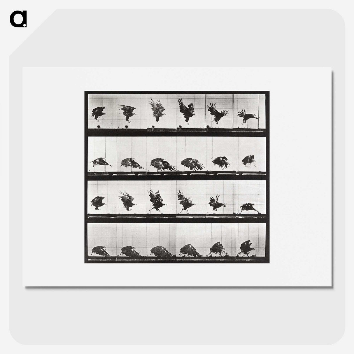 2-54_Eadweard-Muybridge_picture