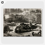 2-54_Edouard-Manet_picture-crop