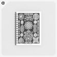 2-54_Ernst-Haeckel_memo