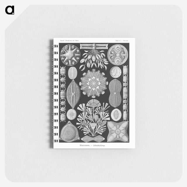 2-54_Ernst-Haeckel_memo