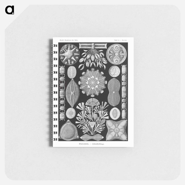 アートメモ帳-Diatomea–Schachtellinge from Kunstformen der Natur - エルンスト ヘッケル Memo.