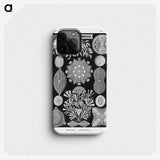 2-54_Ernst-Haeckel_phone