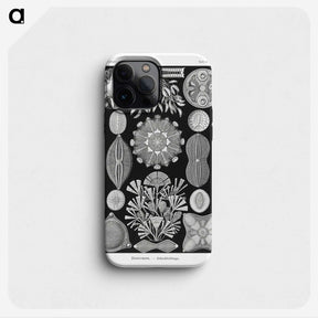 2-54_Ernst-Haeckel_phone