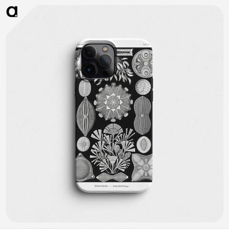2-54_Ernst-Haeckel_phone