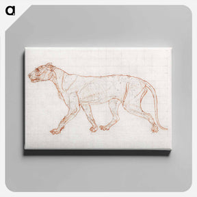 アートパネル-Tiger Body, Lateral View
 - ジョージ スタッブス Canvas.