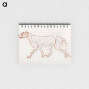 アートメモ帳-Tiger Body, Lateral View
 - ジョージ スタッブス Memo.