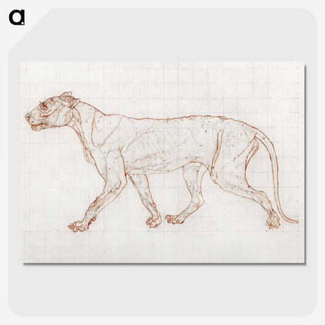 2-54_George-Stubbs_picture-crop