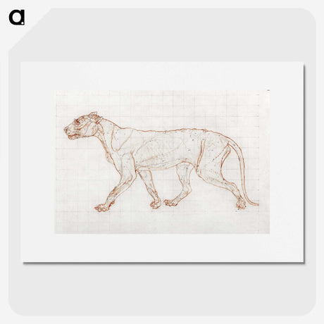 2-54_George-Stubbs_picture