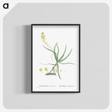 2-54_Histoire-des-Plantes-Grasses_blk-crop