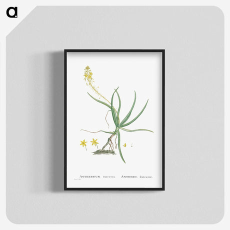 2-54_Histoire-des-Plantes-Grasses_blk-crop