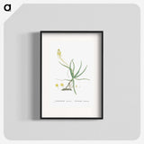 2-54_Histoire-des-Plantes-Grasses_blk