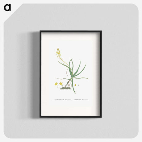 2-54_Histoire-des-Plantes-Grasses_blk