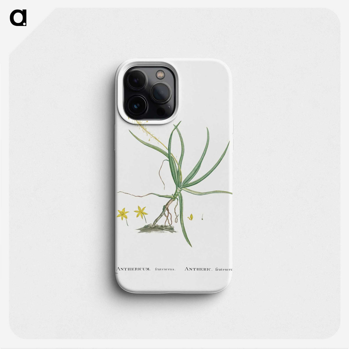 2-54_Histoire-des-Plantes-Grasses_phone
