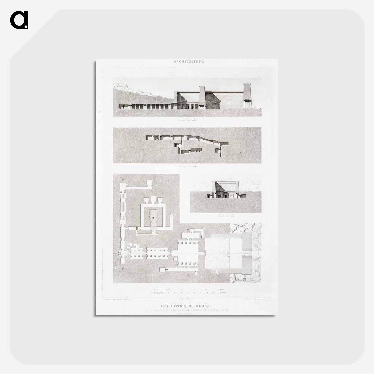 アートポストカード-Theban Necropolis Plan
 - エジプト美術史 Postcard.