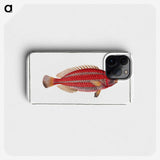 2-54_Ichtyologie-ou-Histoire-naturelle_phone