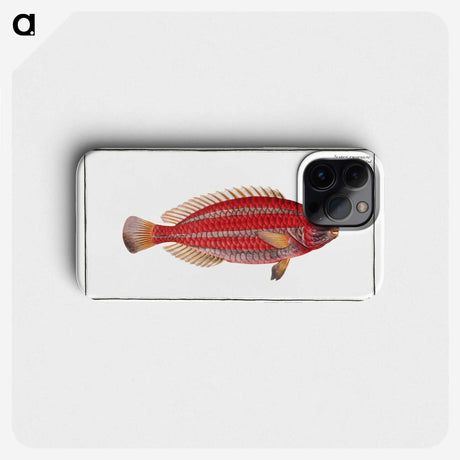 2-54_Ichtyologie-ou-Histoire-naturelle_phone