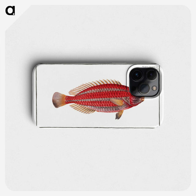 2-54_Ichtyologie-ou-Histoire-naturelle_phone