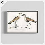 2-54_Indian-Zoology_blk-crop