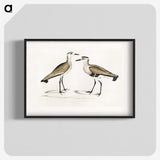 2-54_Indian-Zoology_blk
