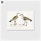 2-54_Indian-Zoology_hagaki