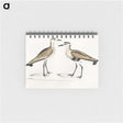 2-54_Indian-Zoology_memo