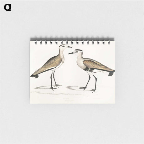 2-54_Indian-Zoology_memo