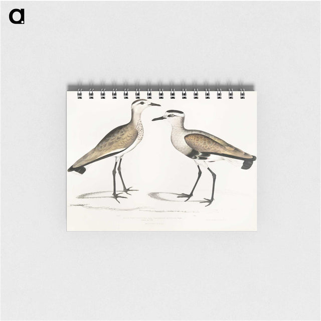 2-54_Indian-Zoology_memo